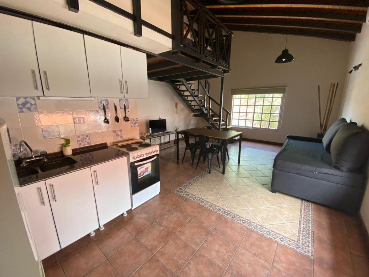 Luxury Loft Apartment Mendoza Exterior photo